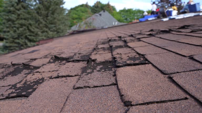 Best Gutter Installation and Repair  in Mcarthur, OH