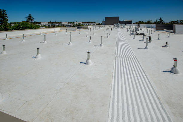 Best Roof Moss and Algae Removal  in Mcarthur, OH